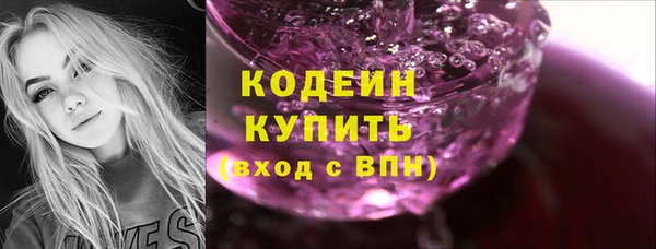 мет Елабуга