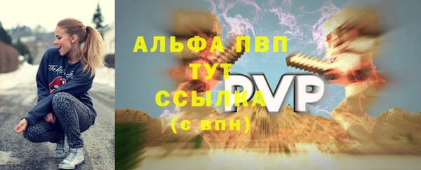 PSILOCYBIN Ельня