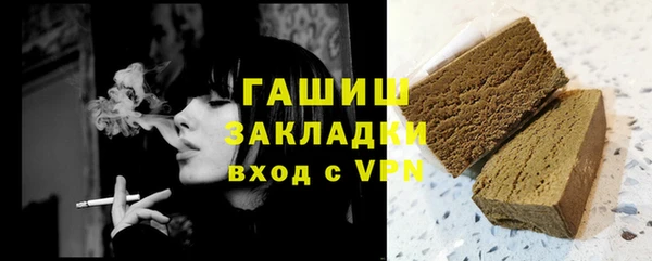 PSILOCYBIN Ельня