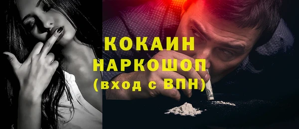 PSILOCYBIN Ельня