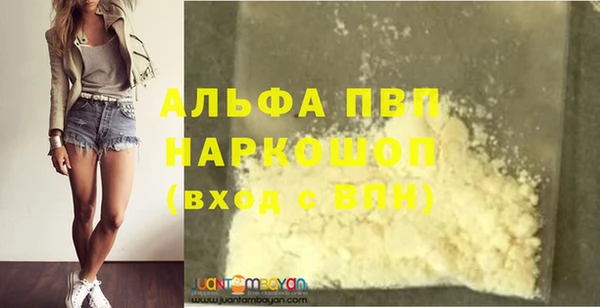 PSILOCYBIN Ельня