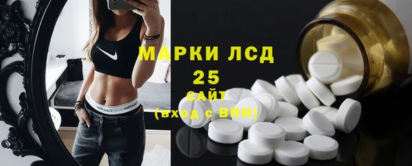 мет Елабуга