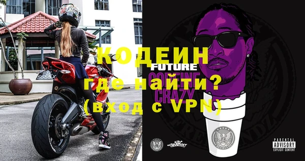 PSILOCYBIN Ельня