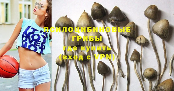 PSILOCYBIN Ельня