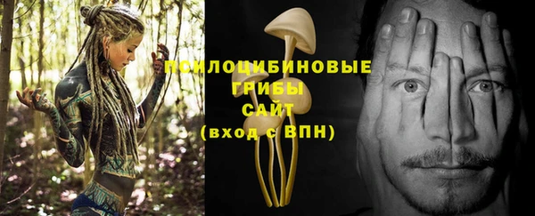 PSILOCYBIN Ельня