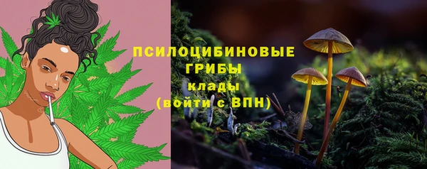 гидропоника Елизово