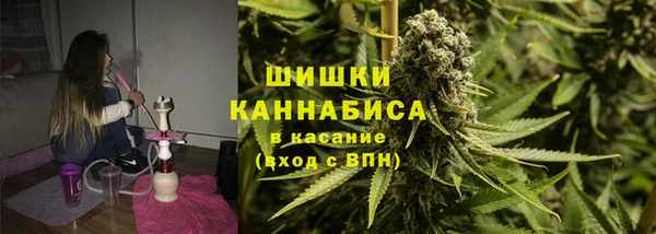 PSILOCYBIN Ельня