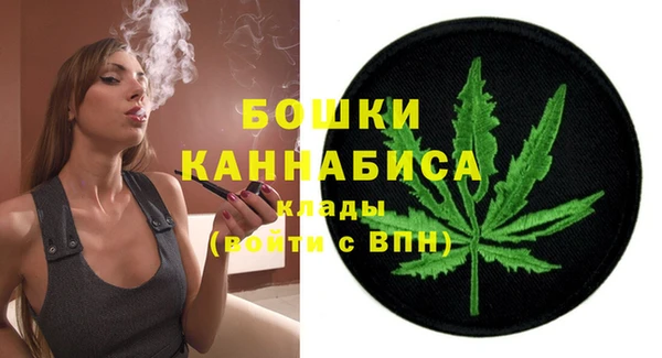 мет Елабуга