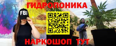 сатива Аргун