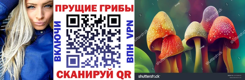 Галлюциногенные грибы Cubensis  Астрахань 