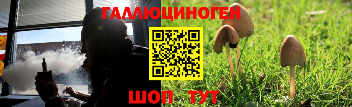 Псилоцибиновые грибы Psilocybine cubensis Астрахань