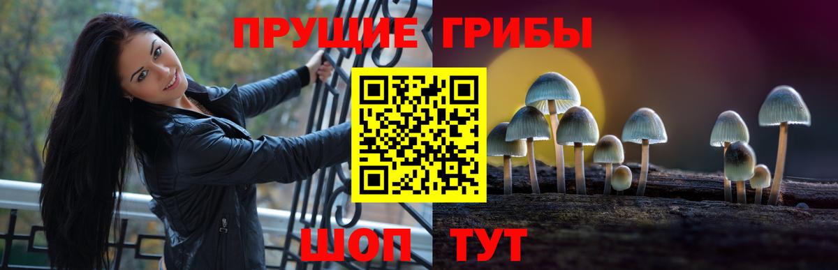 Галлюциногенные грибы прущие грибы  Псилоцибиновые грибы MAGIC MUSHROOMS  Астрахань 